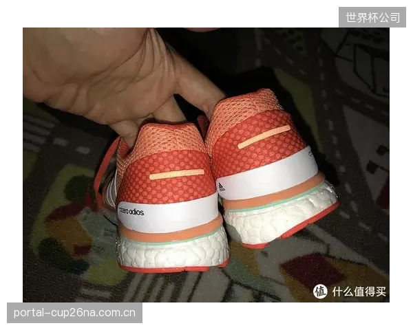 阿迪达斯携手伦敦马拉松,如何借助VCS标准完成超4万名跑者的碳审计闭环? 阿迪达斯携手伦敦马拉松,如何借助VCS标准完成超4万名跑者的碳审计闭环?